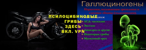 прущие грибы Рославль