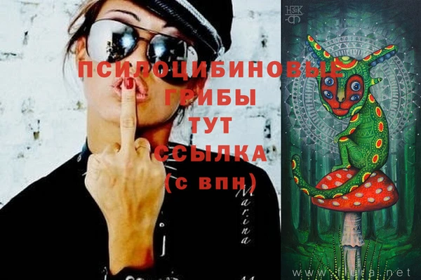 прущие грибы Рославль