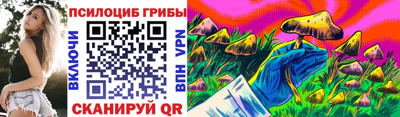 Галлюциногенные грибы Psilocybe  купить наркоту  Бузулук 