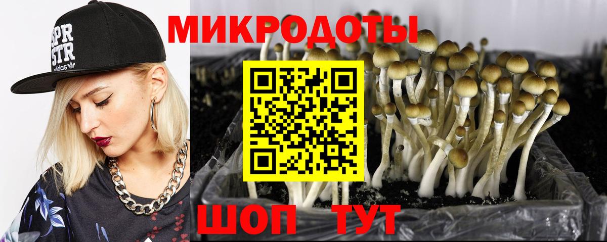 хочу   Псилоцибиновые грибы ЛСД  Вход с VPN  Бузулук 