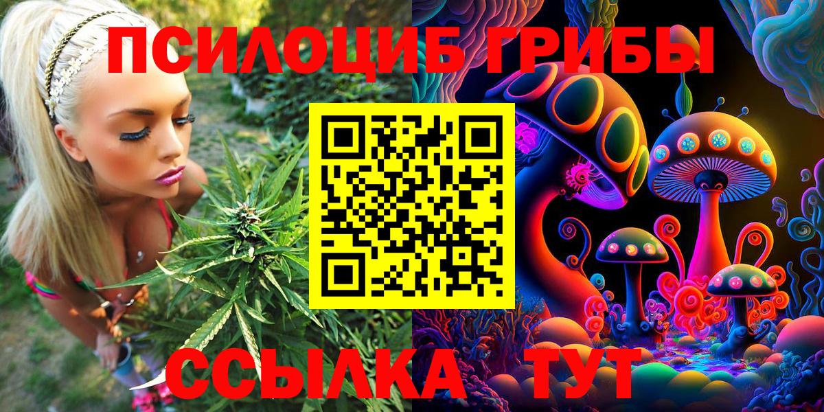 Псилоцибиновые грибы мухоморы Бузулук