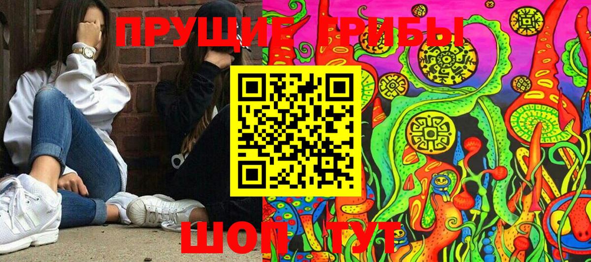 Галлюциногенные грибы Psilocybine cubensis  Бузулук  Галлюциногенные грибы Psilocybine cubensis 